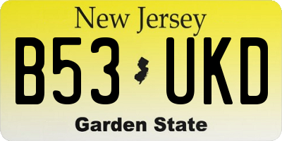 NJ license plate B53UKD