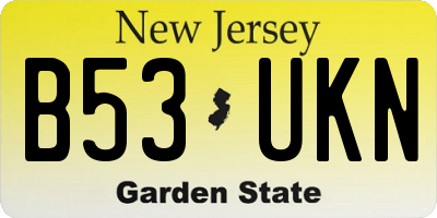 NJ license plate B53UKN