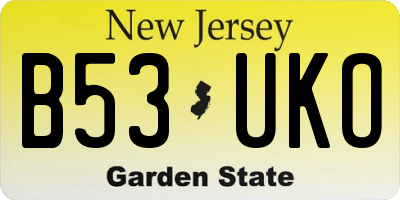 NJ license plate B53UKO