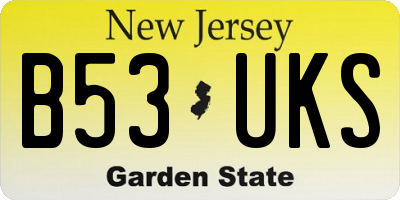 NJ license plate B53UKS