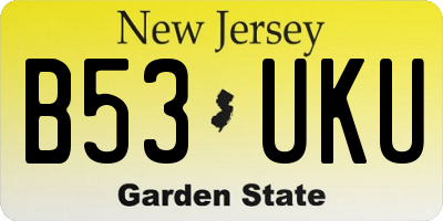 NJ license plate B53UKU