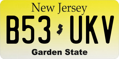 NJ license plate B53UKV