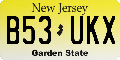 NJ license plate B53UKX