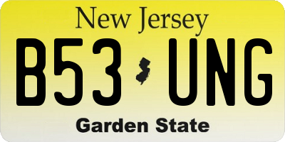 NJ license plate B53UNG