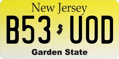 NJ license plate B53UOD