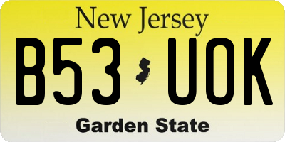 NJ license plate B53UOK