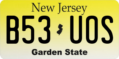 NJ license plate B53UOS