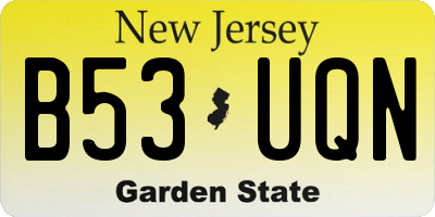 NJ license plate B53UQN