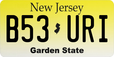NJ license plate B53URI