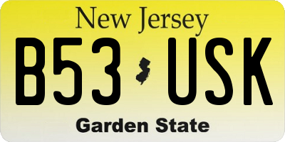 NJ license plate B53USK