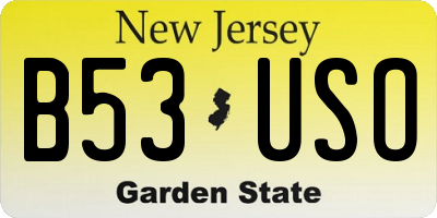 NJ license plate B53USO