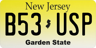 NJ license plate B53USP
