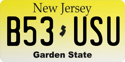 NJ license plate B53USU