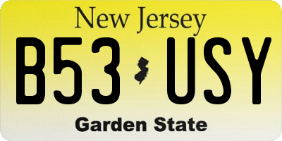 NJ license plate B53USY