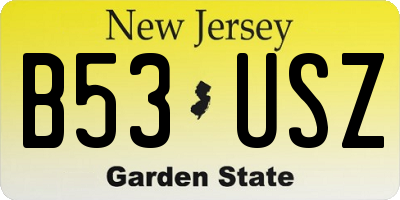 NJ license plate B53USZ