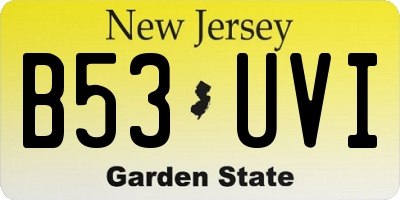 NJ license plate B53UVI