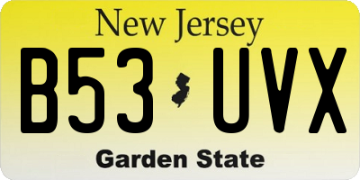 NJ license plate B53UVX