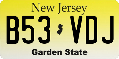 NJ license plate B53VDJ