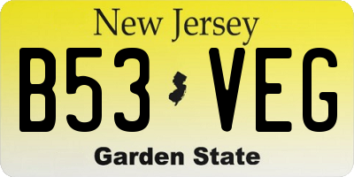 NJ license plate B53VEG