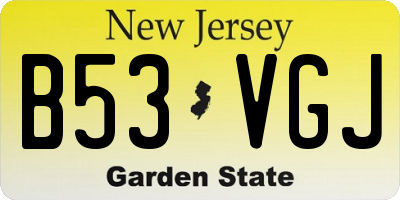 NJ license plate B53VGJ