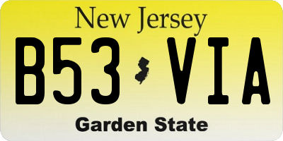 NJ license plate B53VIA