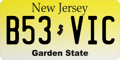 NJ license plate B53VIC