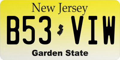 NJ license plate B53VIW