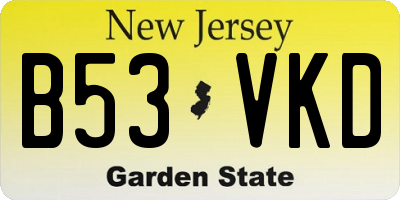NJ license plate B53VKD