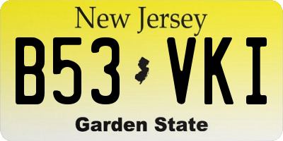 NJ license plate B53VKI