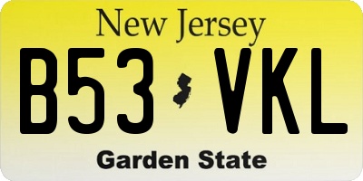 NJ license plate B53VKL