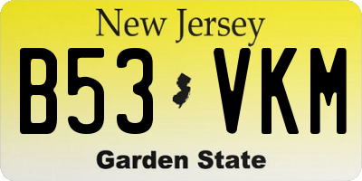 NJ license plate B53VKM