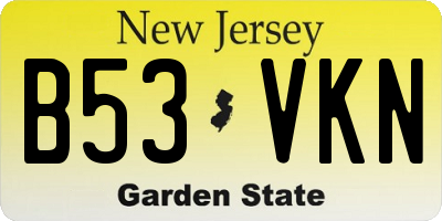 NJ license plate B53VKN