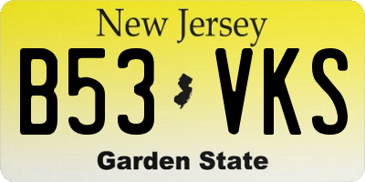 NJ license plate B53VKS