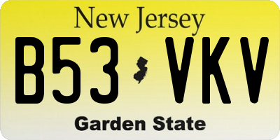 NJ license plate B53VKV