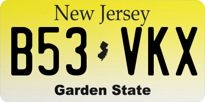 NJ license plate B53VKX