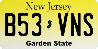 NJ license plate B53VNS