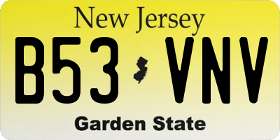 NJ license plate B53VNV
