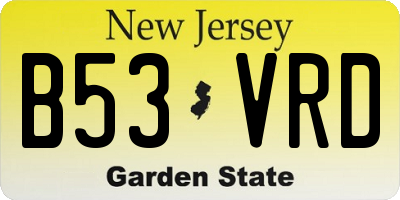 NJ license plate B53VRD