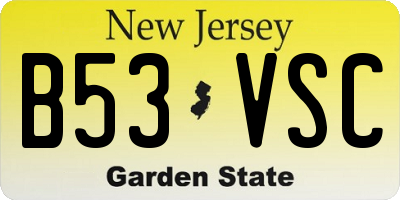 NJ license plate B53VSC