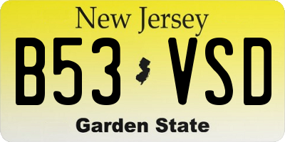 NJ license plate B53VSD
