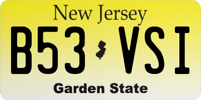 NJ license plate B53VSI