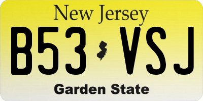 NJ license plate B53VSJ