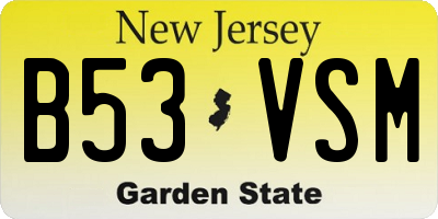 NJ license plate B53VSM