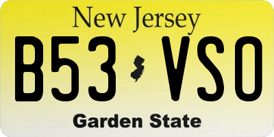 NJ license plate B53VSO