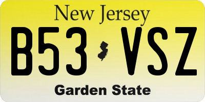 NJ license plate B53VSZ