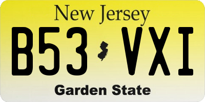 NJ license plate B53VXI
