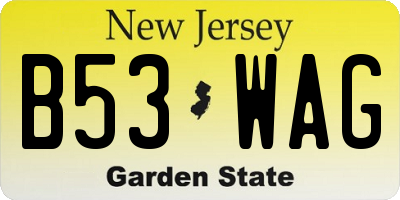 NJ license plate B53WAG