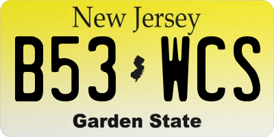 NJ license plate B53WCS