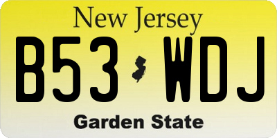 NJ license plate B53WDJ