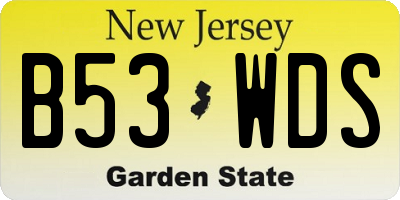 NJ license plate B53WDS